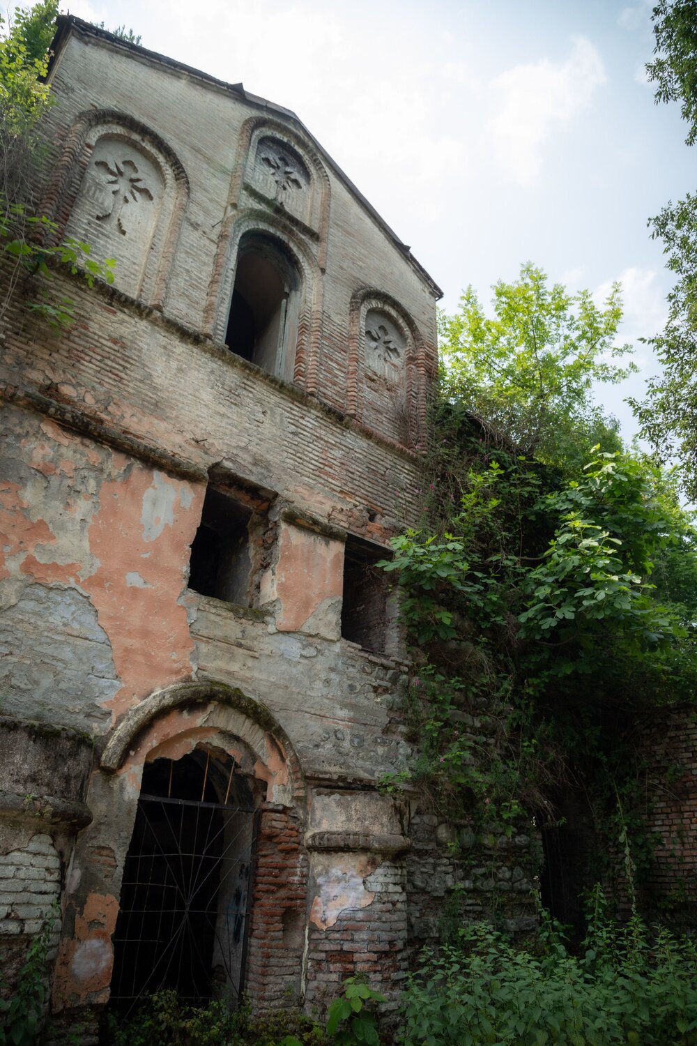 Photo #14014515
