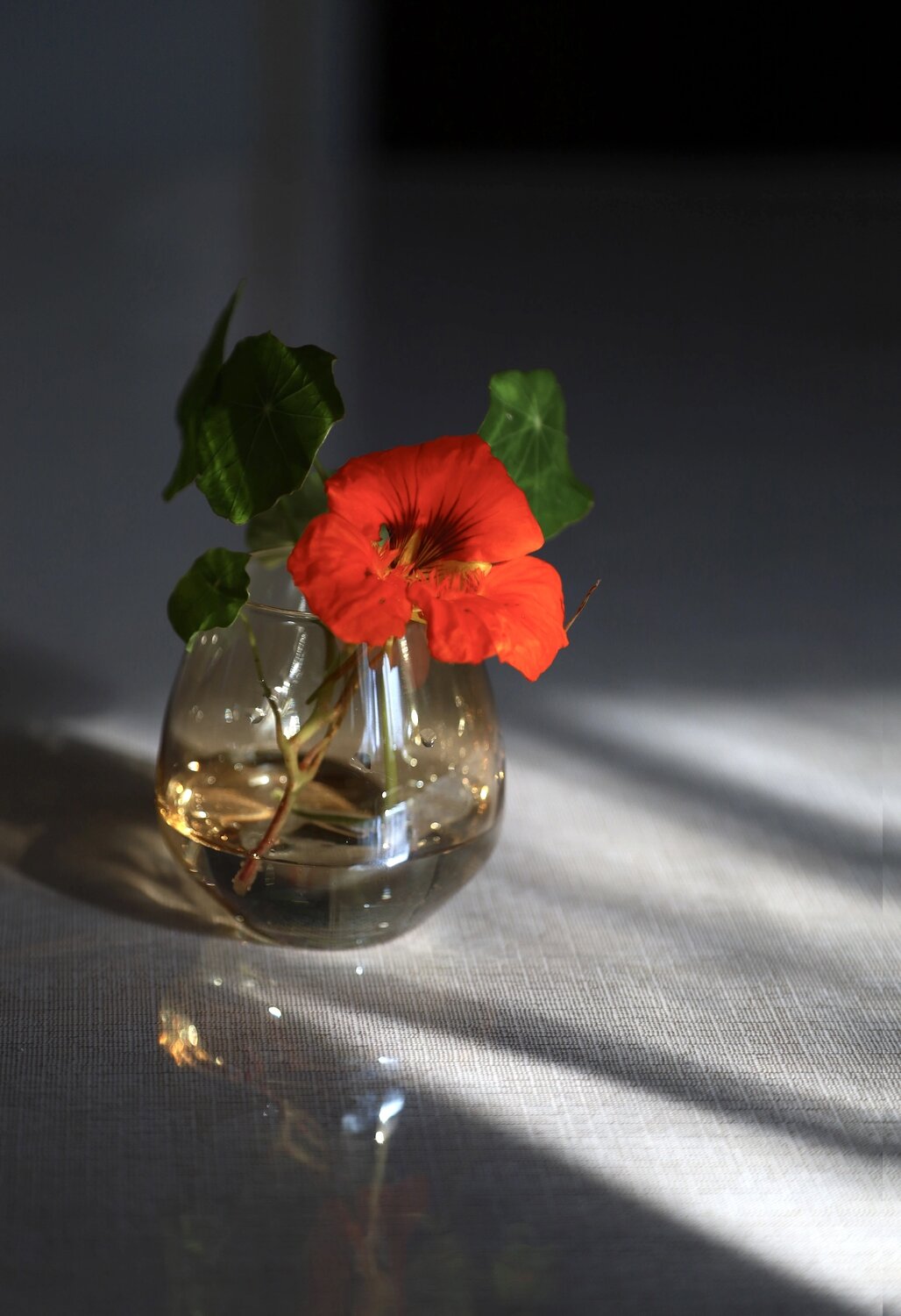 Photo #14014558