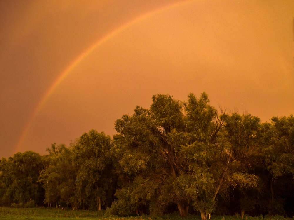 Photograph by Наталья Веселкина
