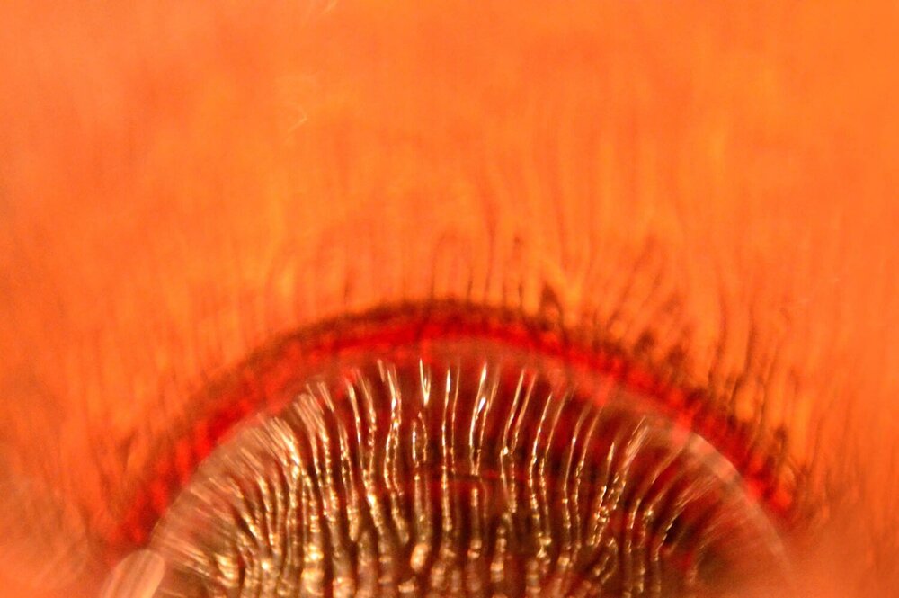 Photograph by Gisella Trapani