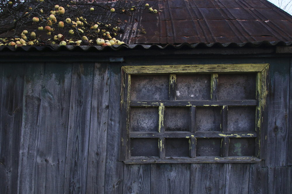 Photo #14014663