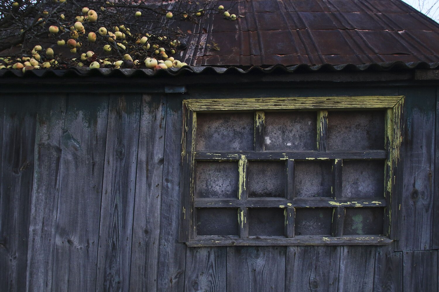 Photo #14014663