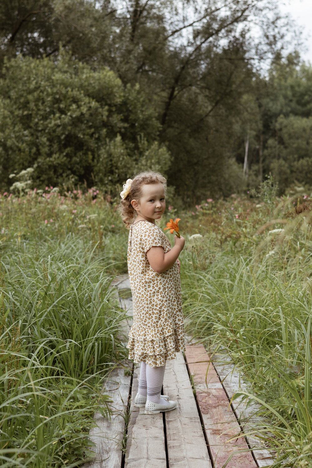 Photo #14014671