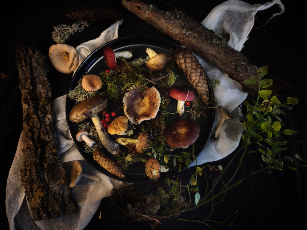 Photograph by Olga Asson