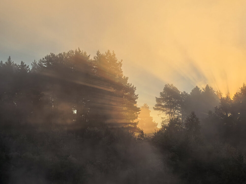 Photograph by Татьяна Емельянова