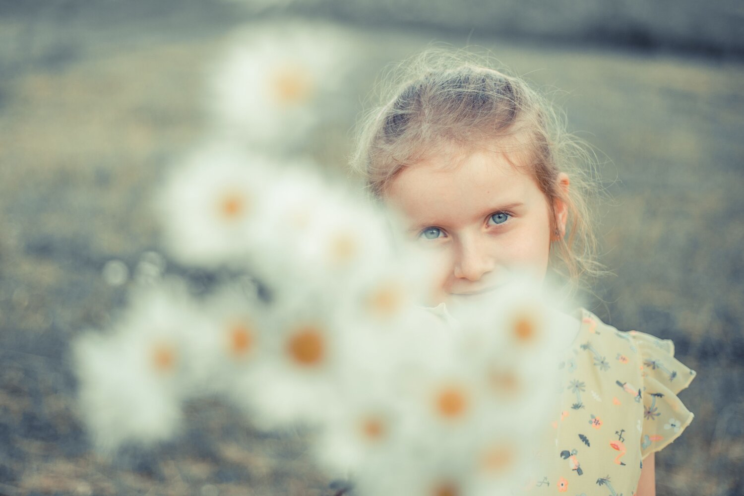 Photo #14014757