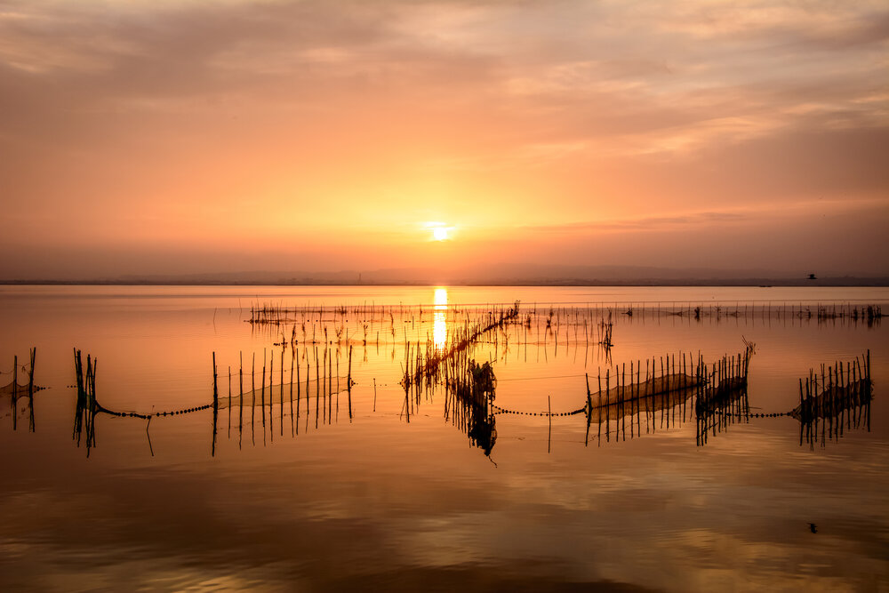 Photograph by Ximo Torres