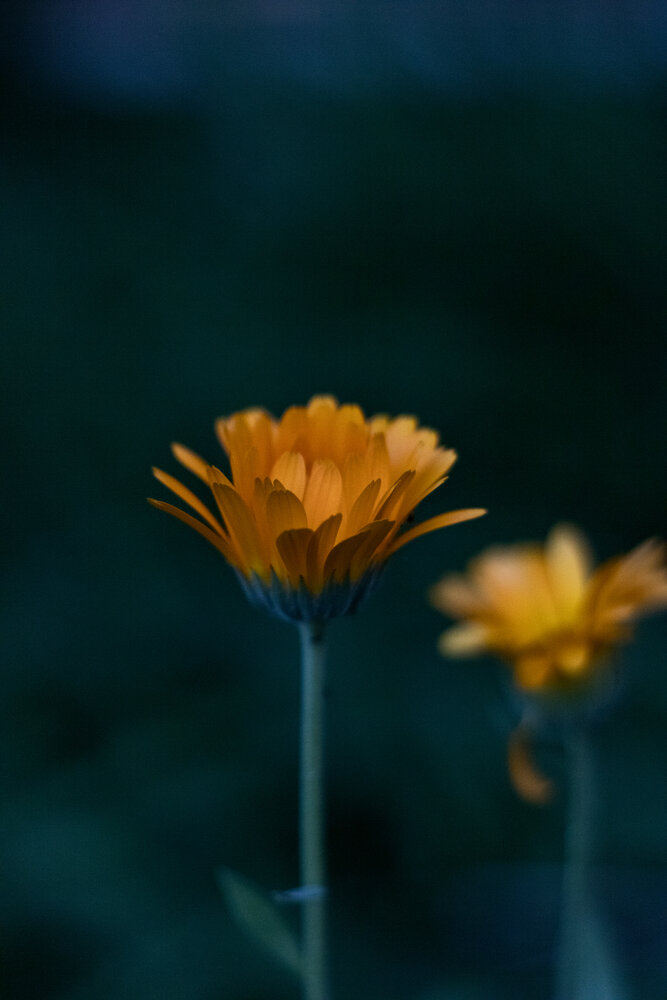 Photograph by Katerina Makhtadui
