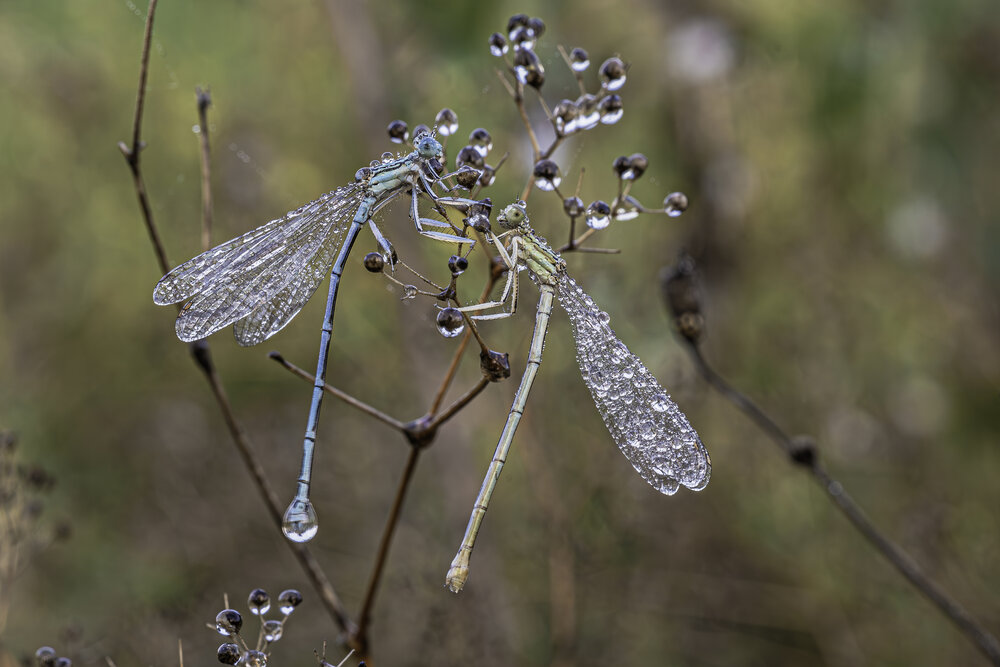 Photograph by Зайцев Роман