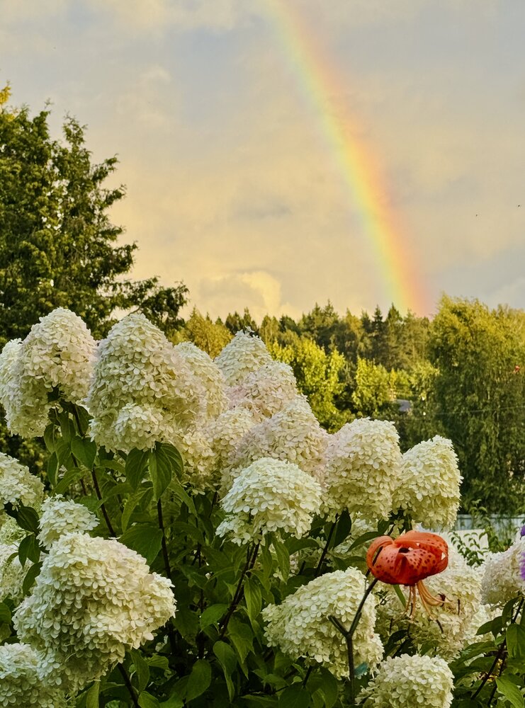 Photograph by Евгения Иванова