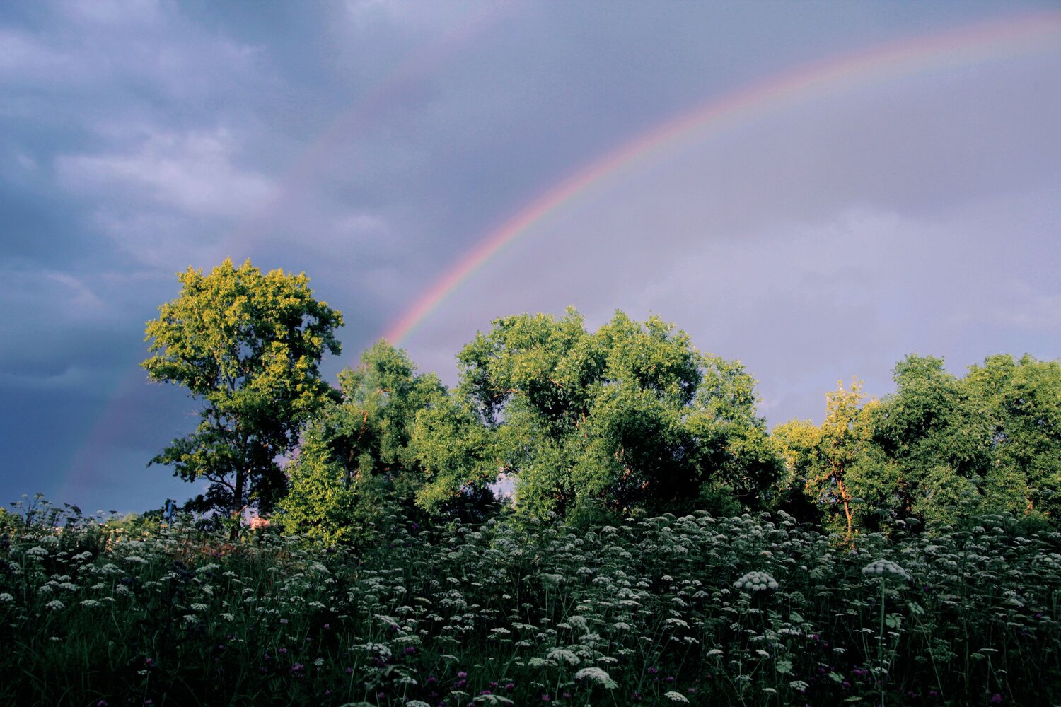 Photo #14015155