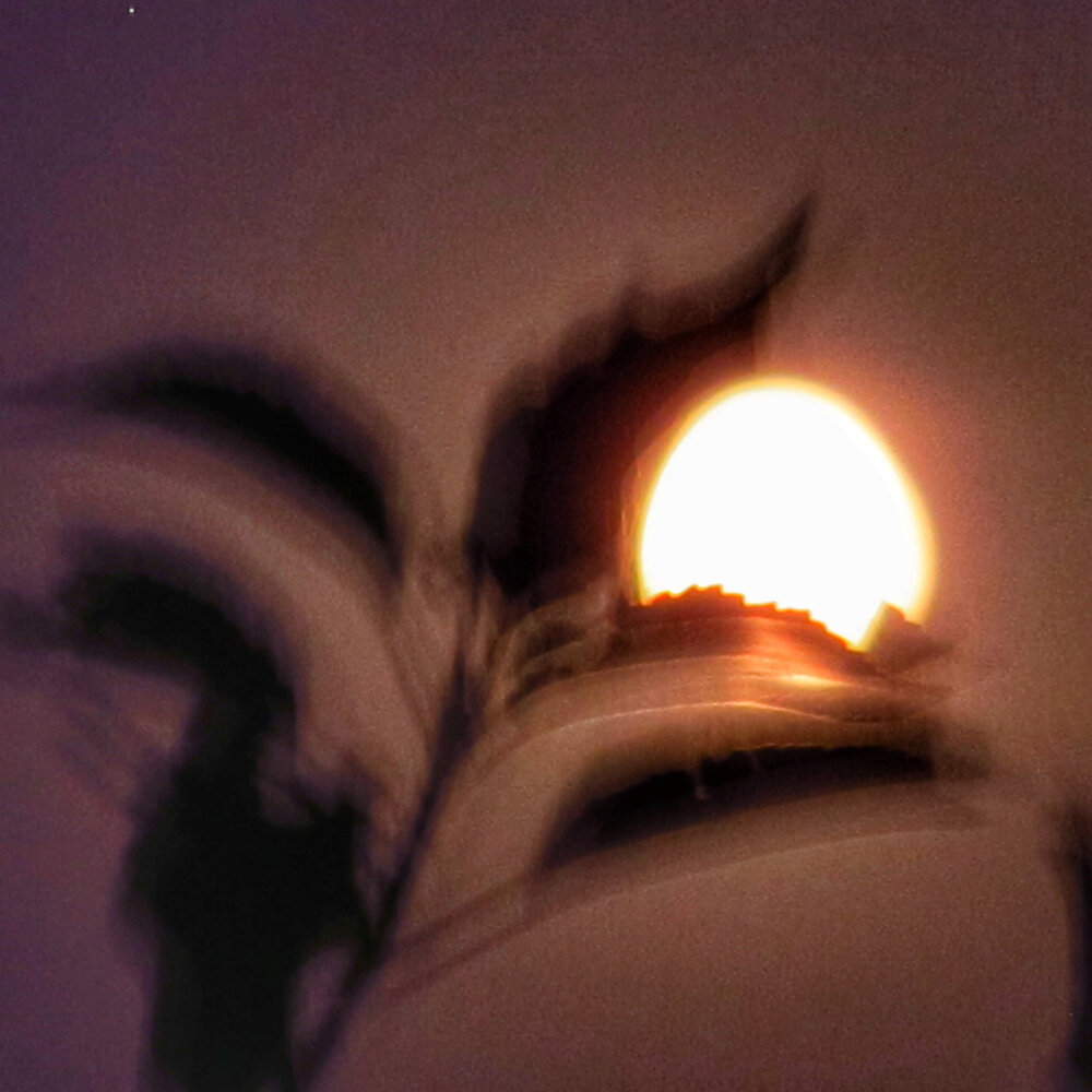 Photograph by Ульяна Кузьмина