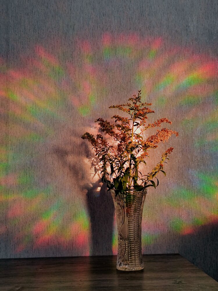 Photograph by Ольга Рыбина