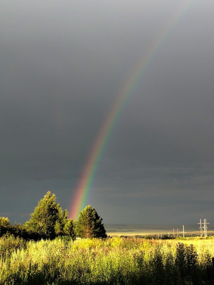 Photograph by Ольга Мокрова