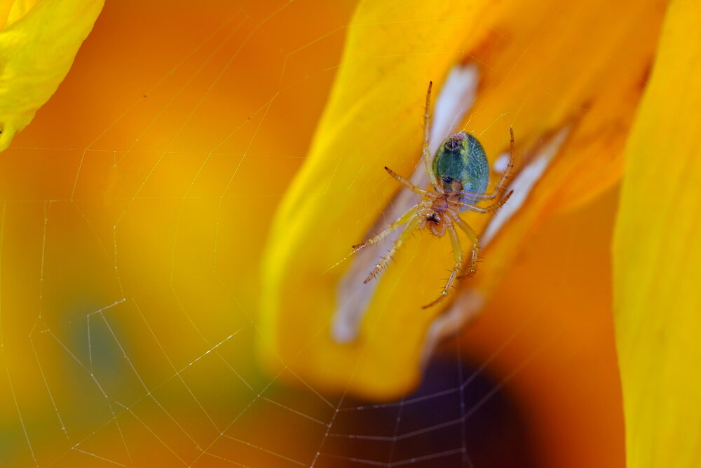 Photograph by Владимир Лобанов