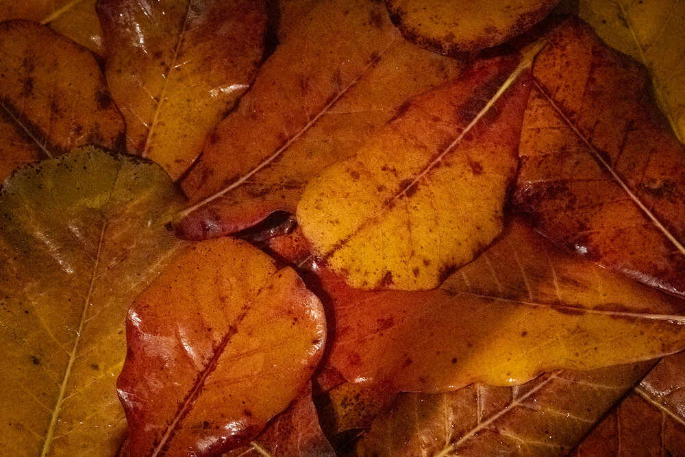 Photograph by Галина Гаврикова