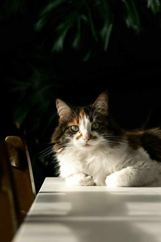 Photograph by Вострецов Иван