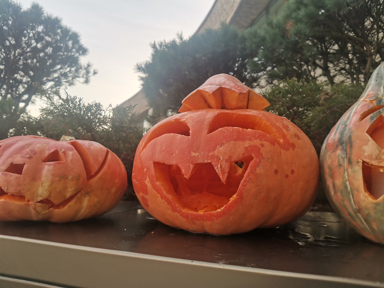 Photo #14015383