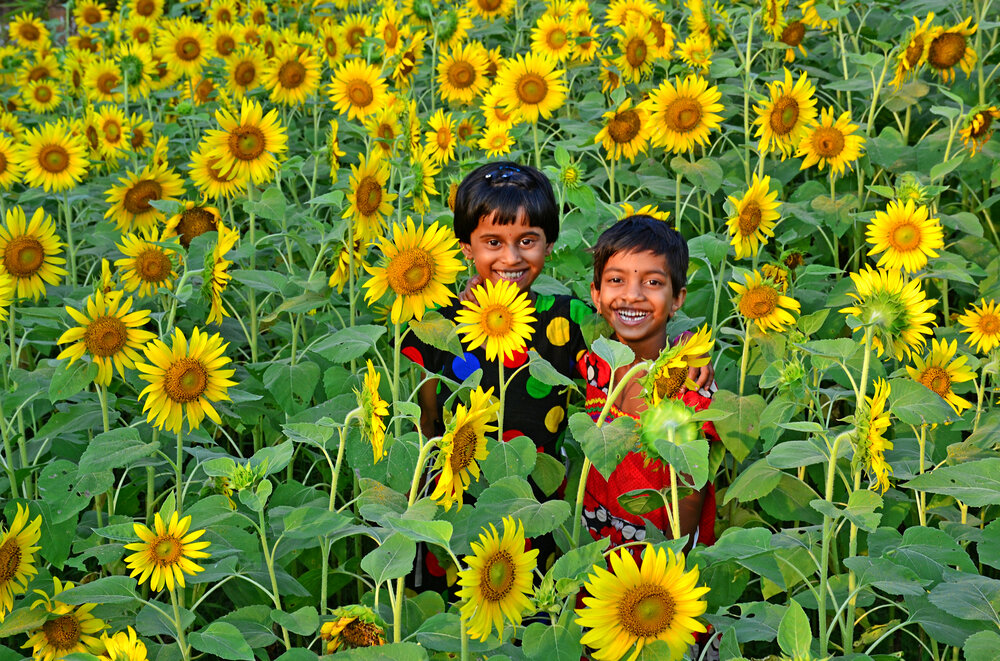 Photograph by CHINMOY BISWAS