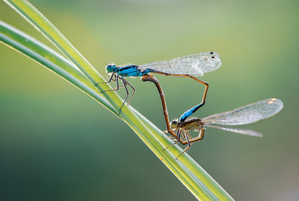 Photograph by Евгений Лукашук
