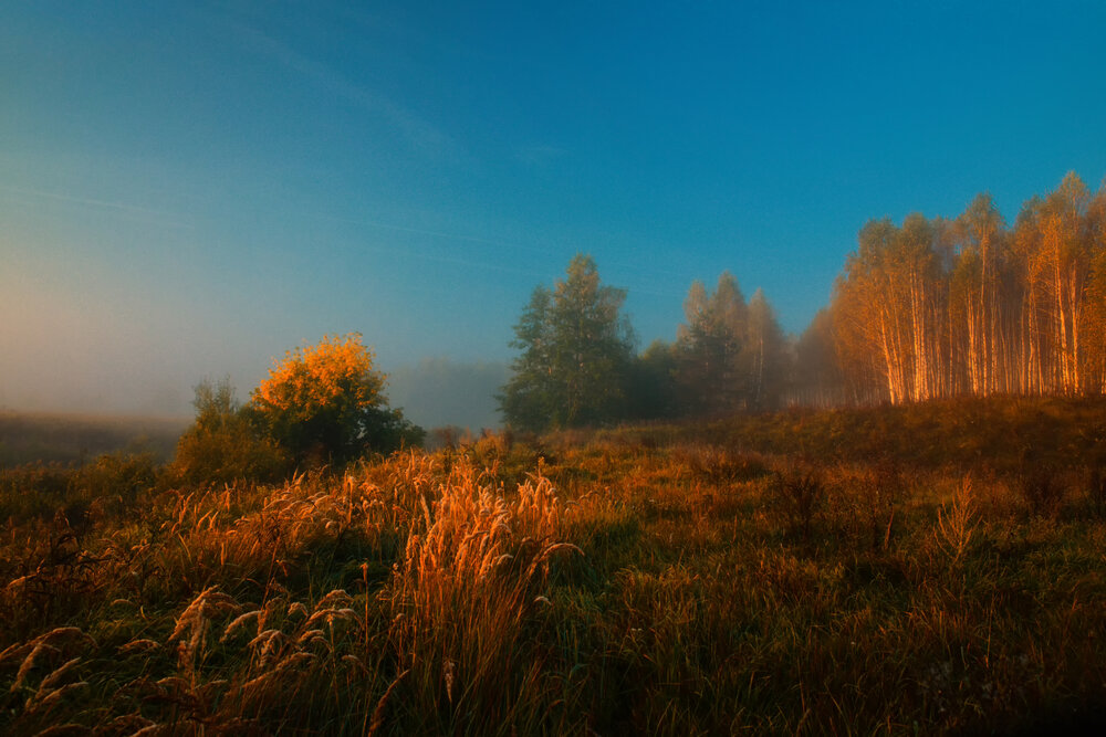 Photograph by Абашкин Сергей