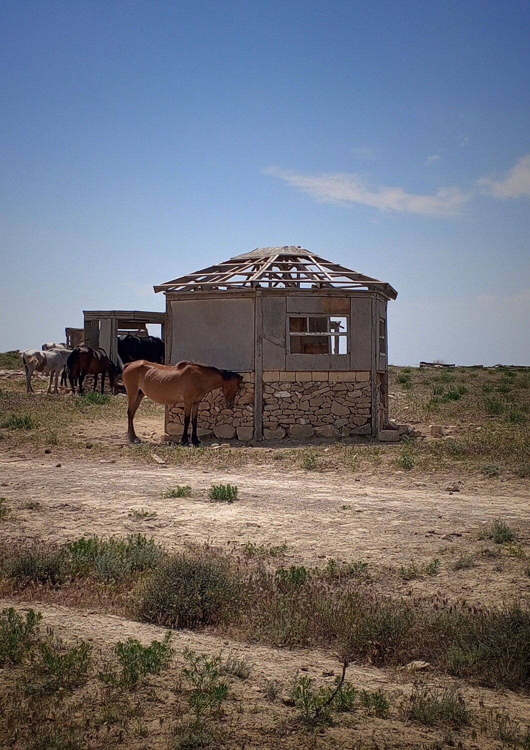 Photo #14015441