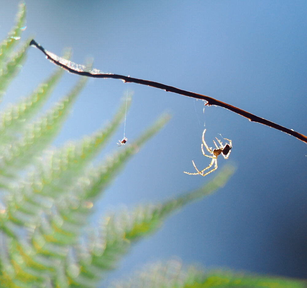 Photograph by Евгений Лукашук