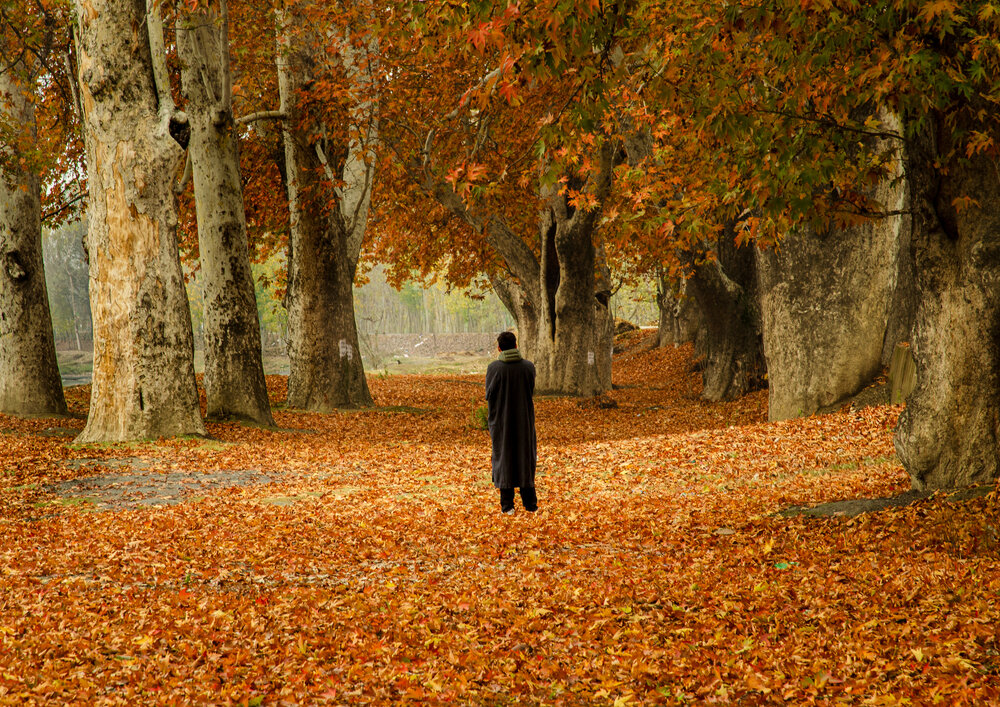 Photograph by Afzal Khan