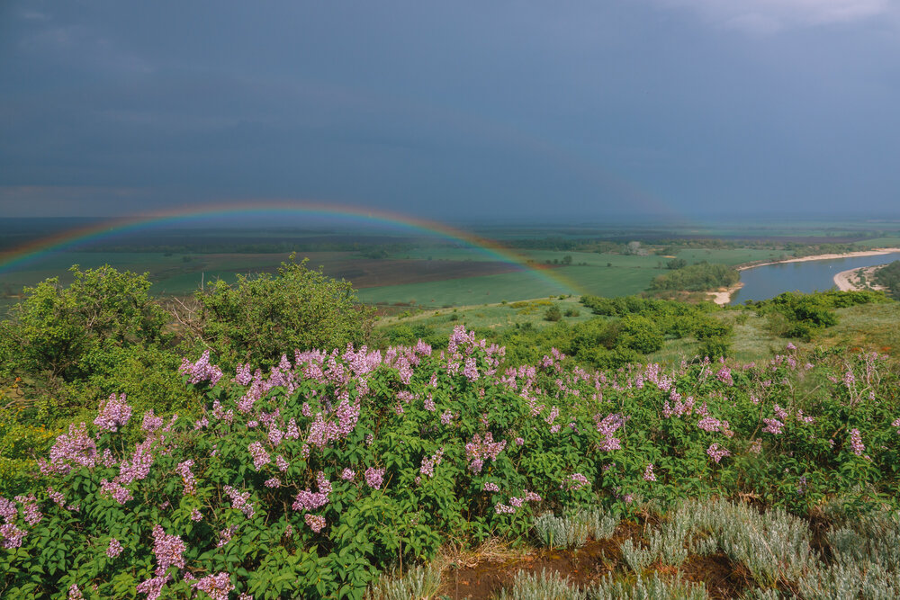 Photograph by Шишкалов Константин