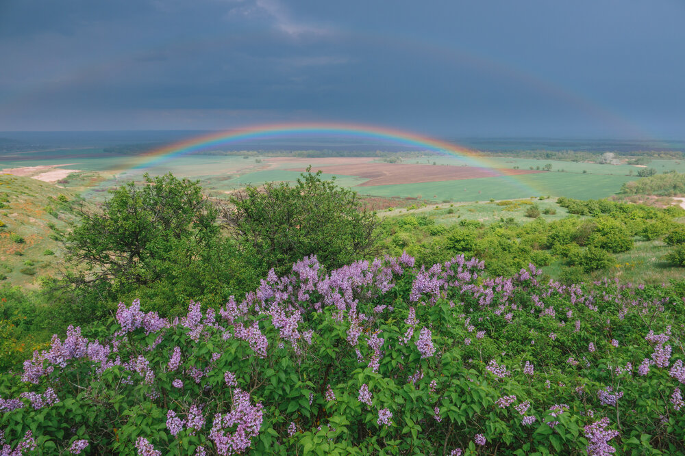 Photograph by Шишкалов Константин