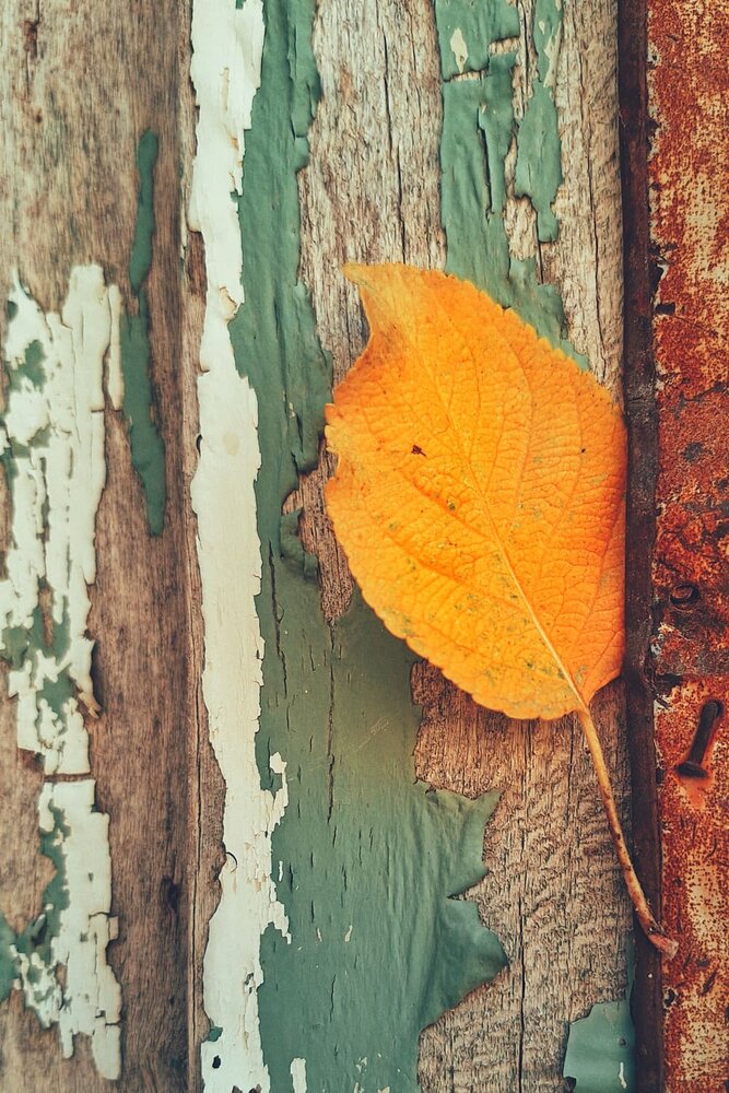 Photograph by Zahra akbari