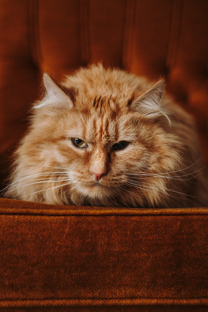 Photograph by Екатерина Воронина
