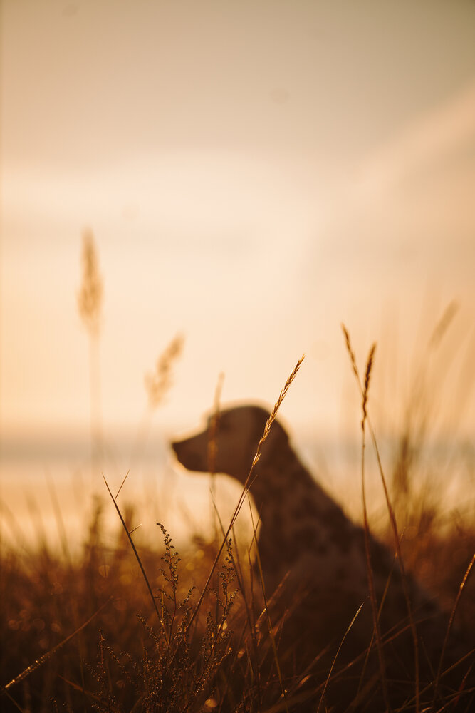 Photograph by Екатерина Воронина