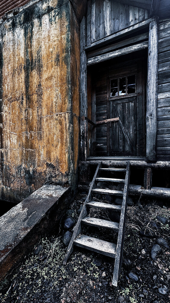 Фотография автора Дарья Бойкова