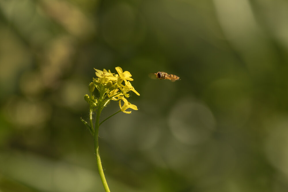 Photograph by Юлия Куликова
