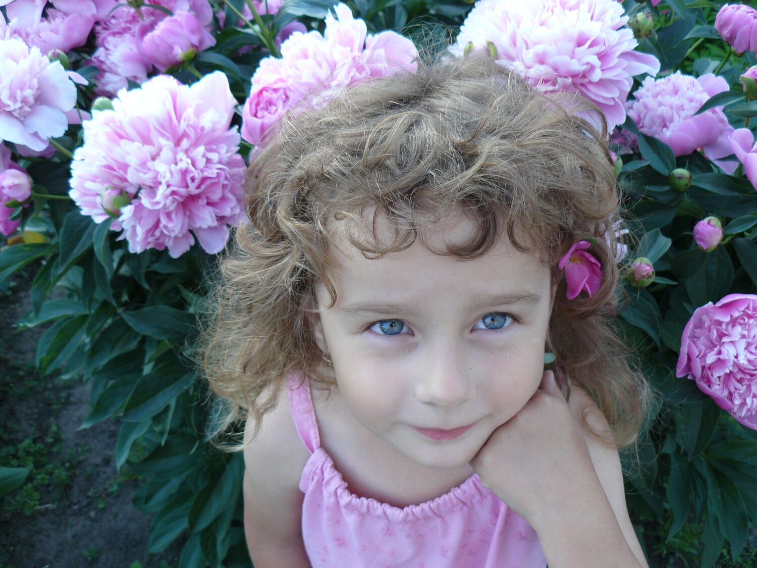 Photo #14015820
