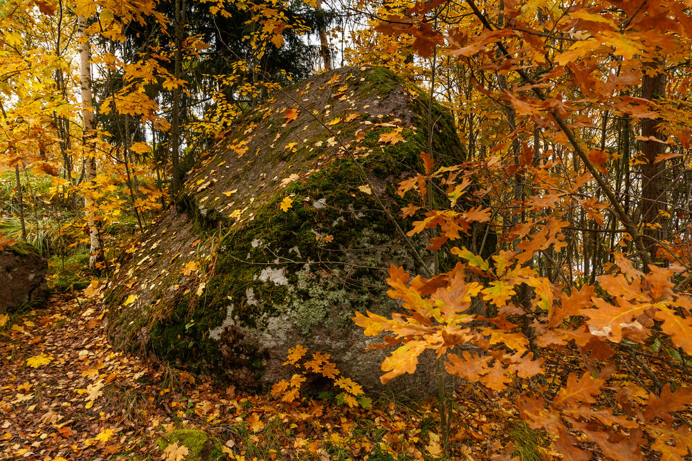 Photograph by Наталья Колеватова
