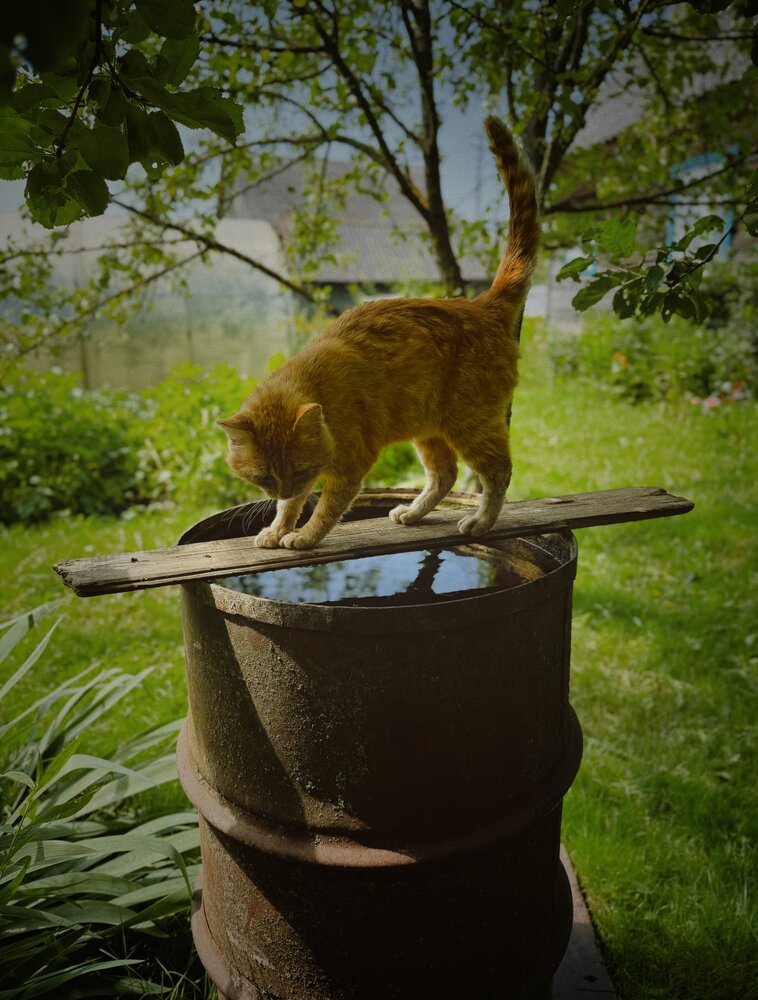 Photograph by Марина Никифорова