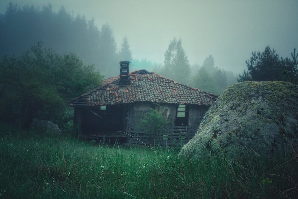 Фотография автора 