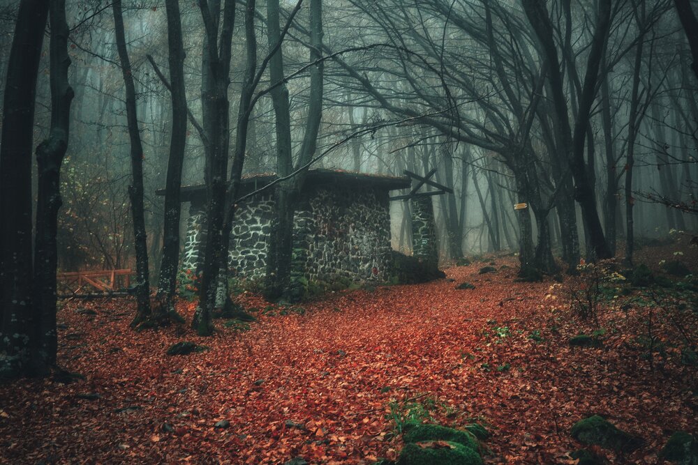 Фотография автора 