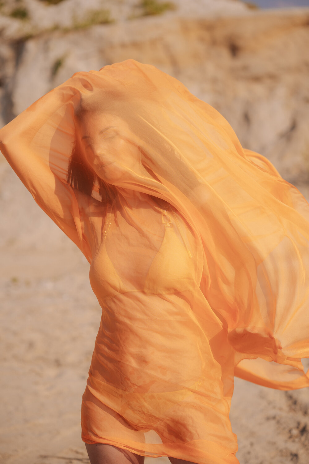 Photo #14015871