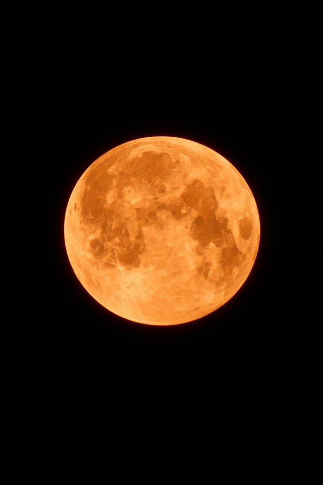 Luna Orange