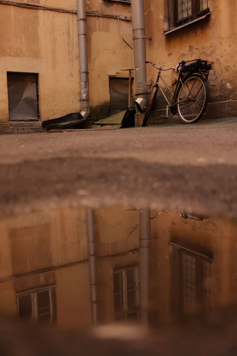 Photo #14016104