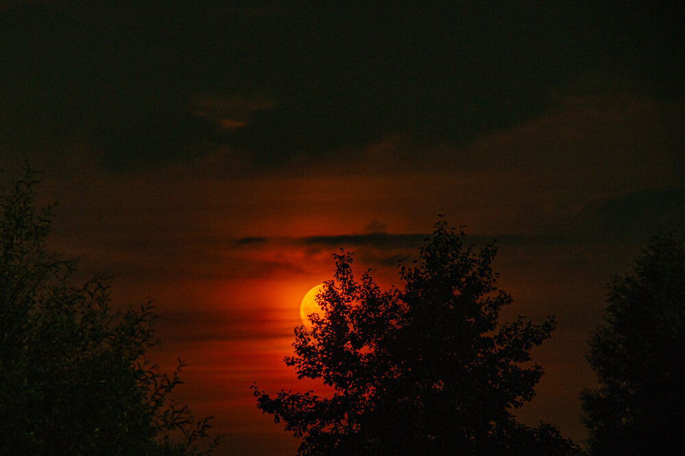 Photograph by Денис Хасанов
