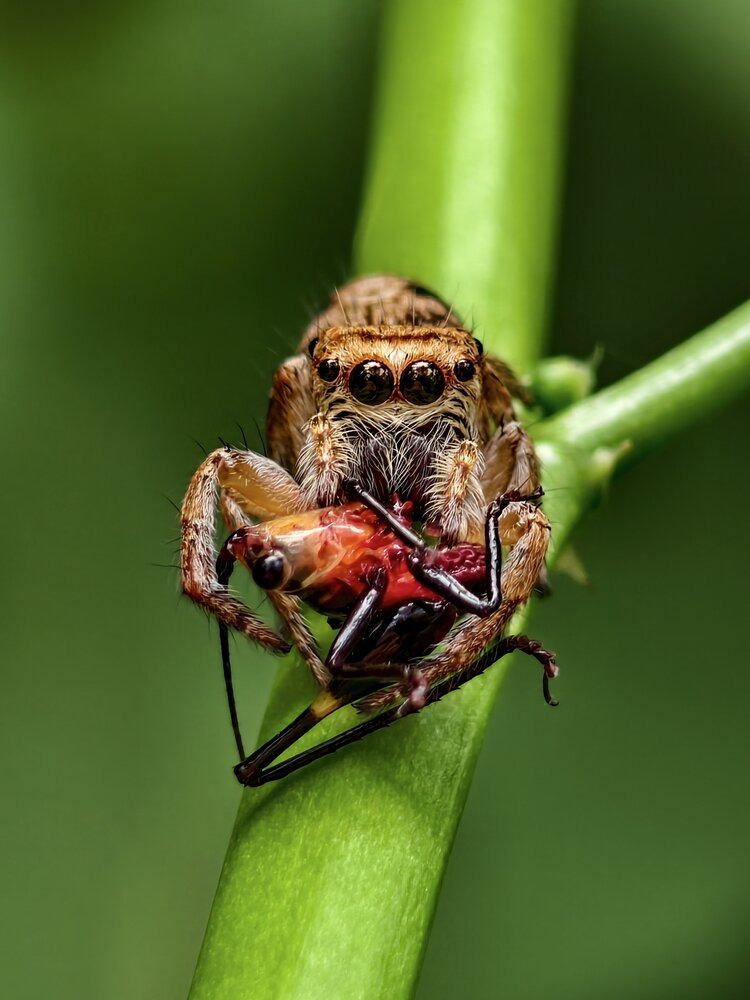 Фотография автора Chinchu Chandran