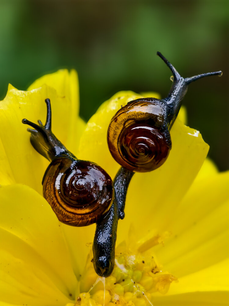 Фотография автора Chinchu Chandran
