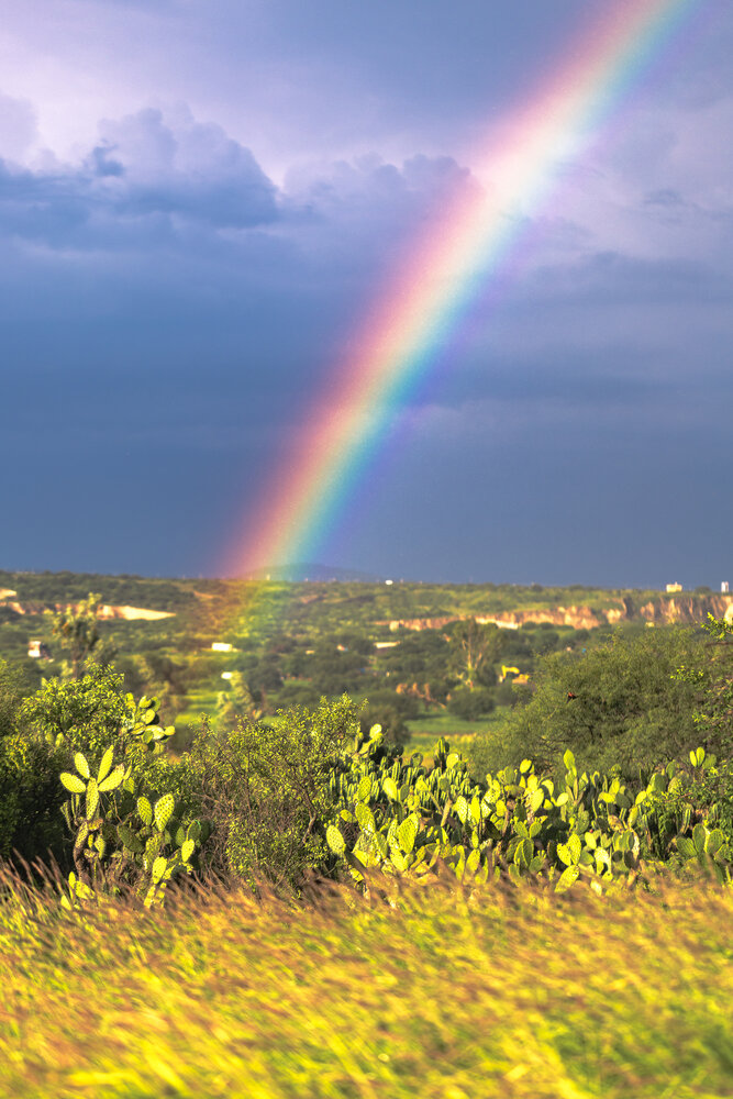 Photograph by Jorge Antonio Manjarrez Castellanos