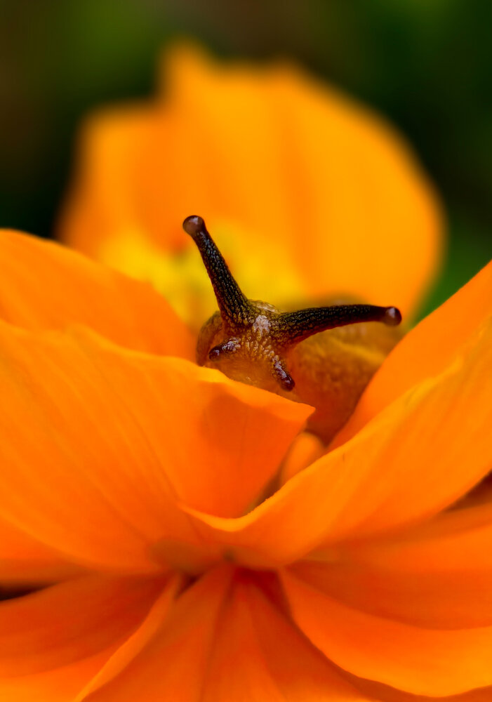 Фотография автора Chinchu Chandran