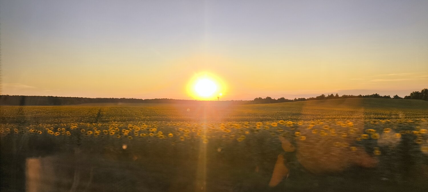Photo #14016468