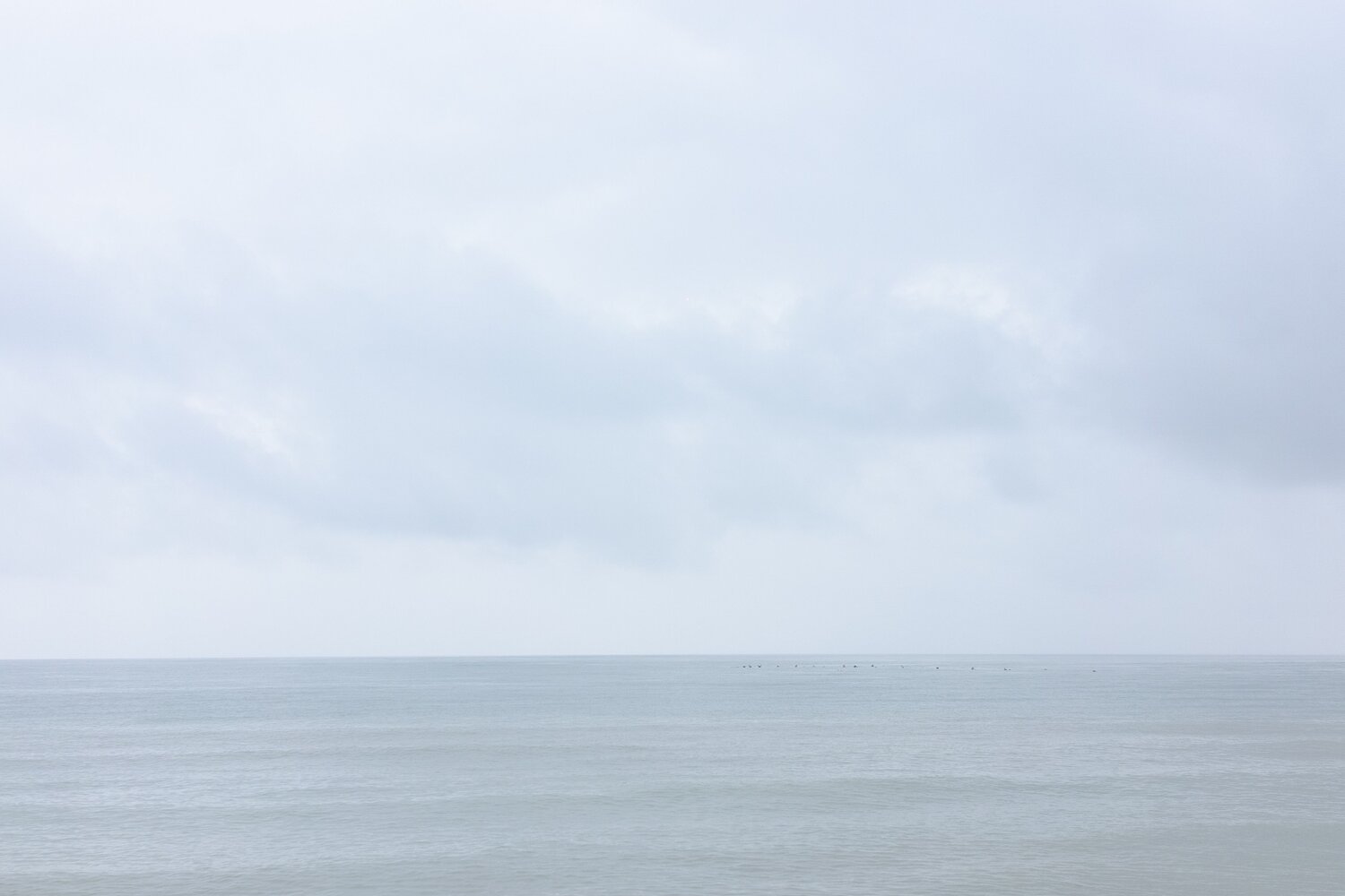 Photo #14016600